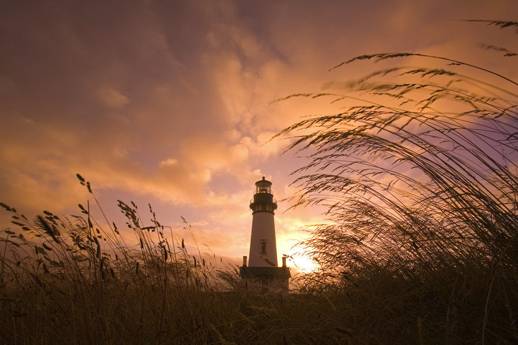 Detail of Yaquina Head Lighthouse at Sunset by Anonymous