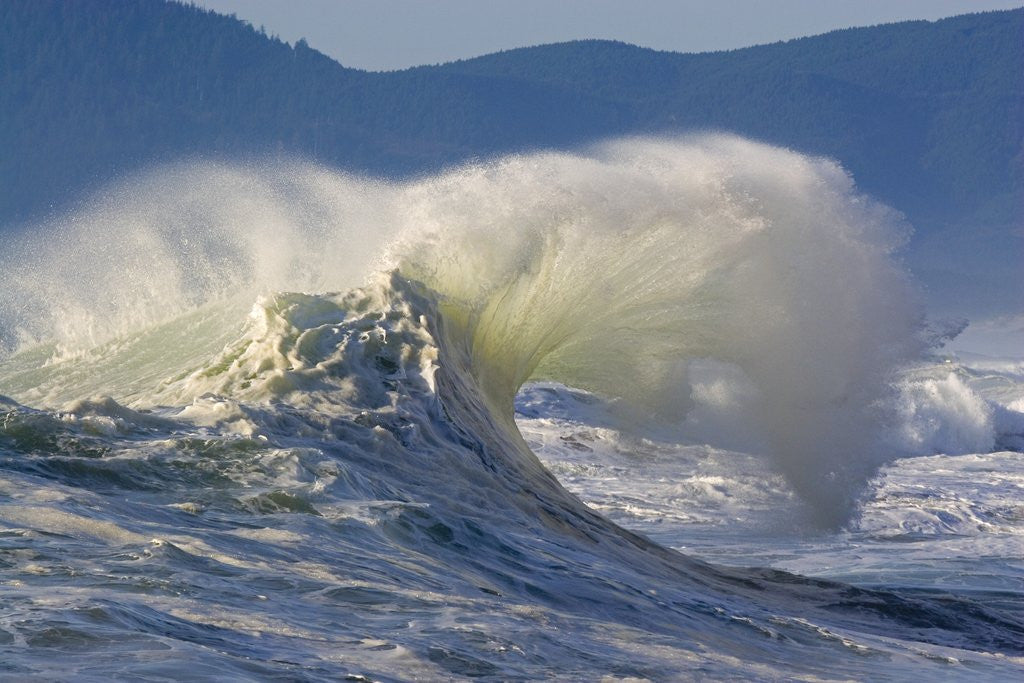 Detail of Wave Curl in Winter Storm by Anonymous