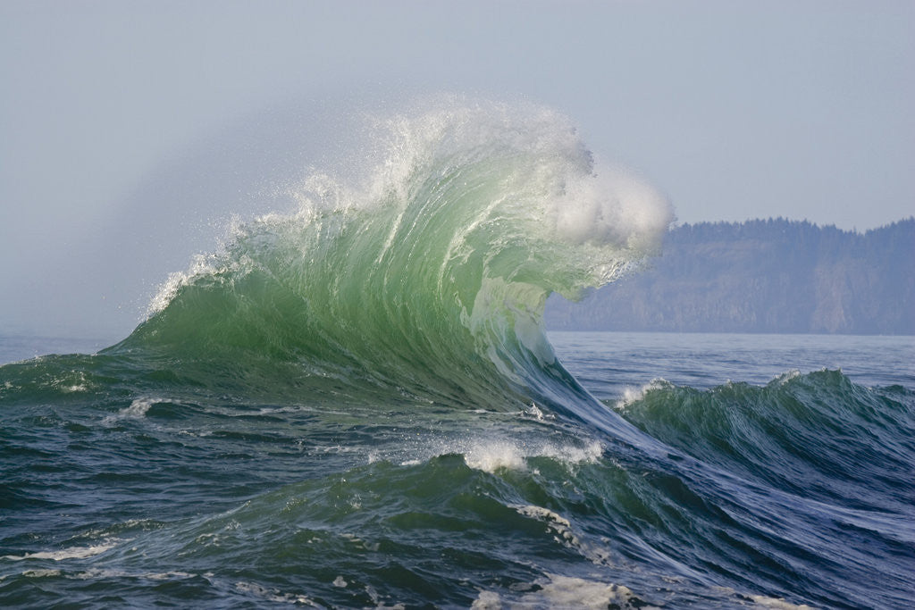 Detail of Wave Curl in Winter Storm by Anonymous