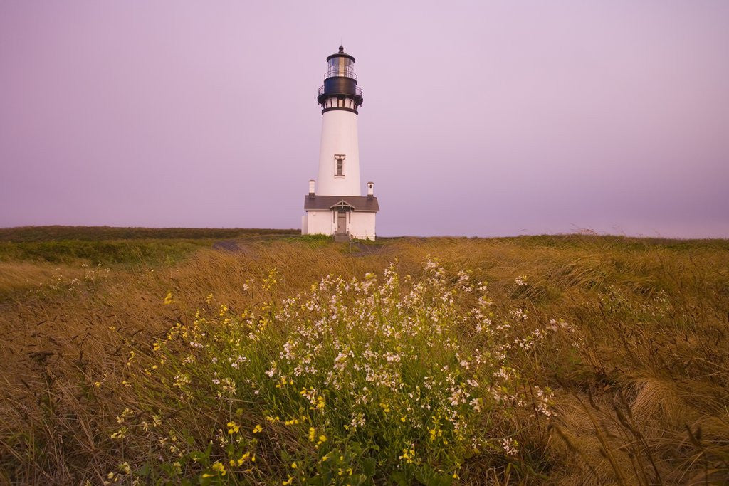 Detail of Yaquina Head Lighthouse by Corbis
