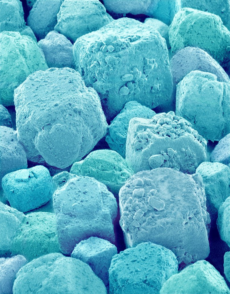 Detail of Table Salt by Anonymous