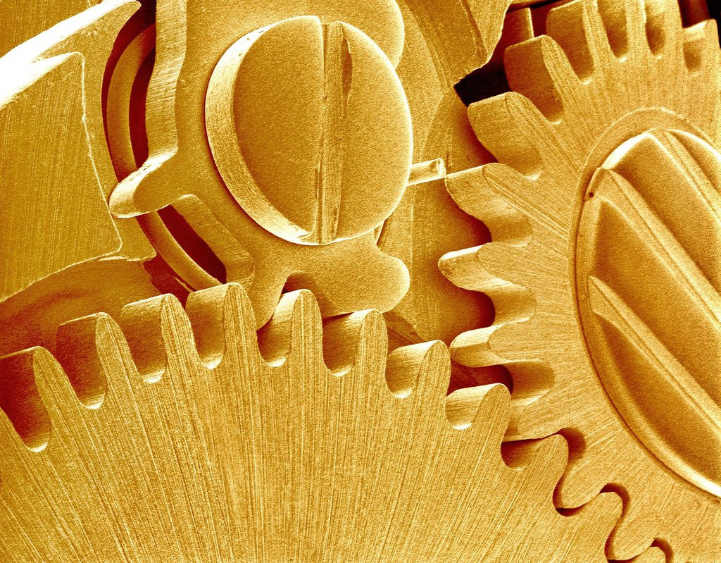 Detail of Watch Gears by Anonymous