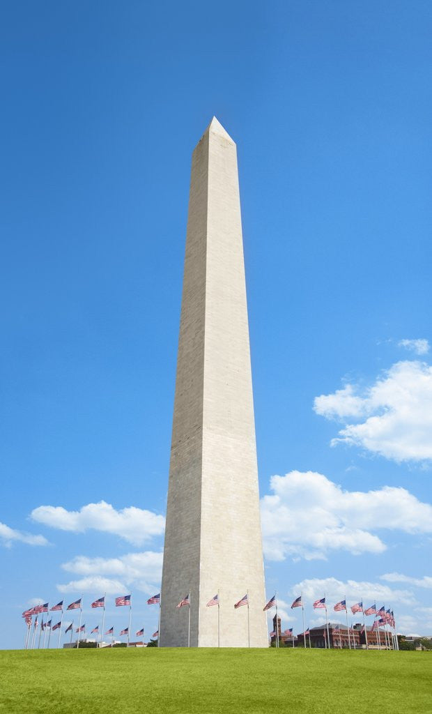 Detail of Washington Monument by Anonymous