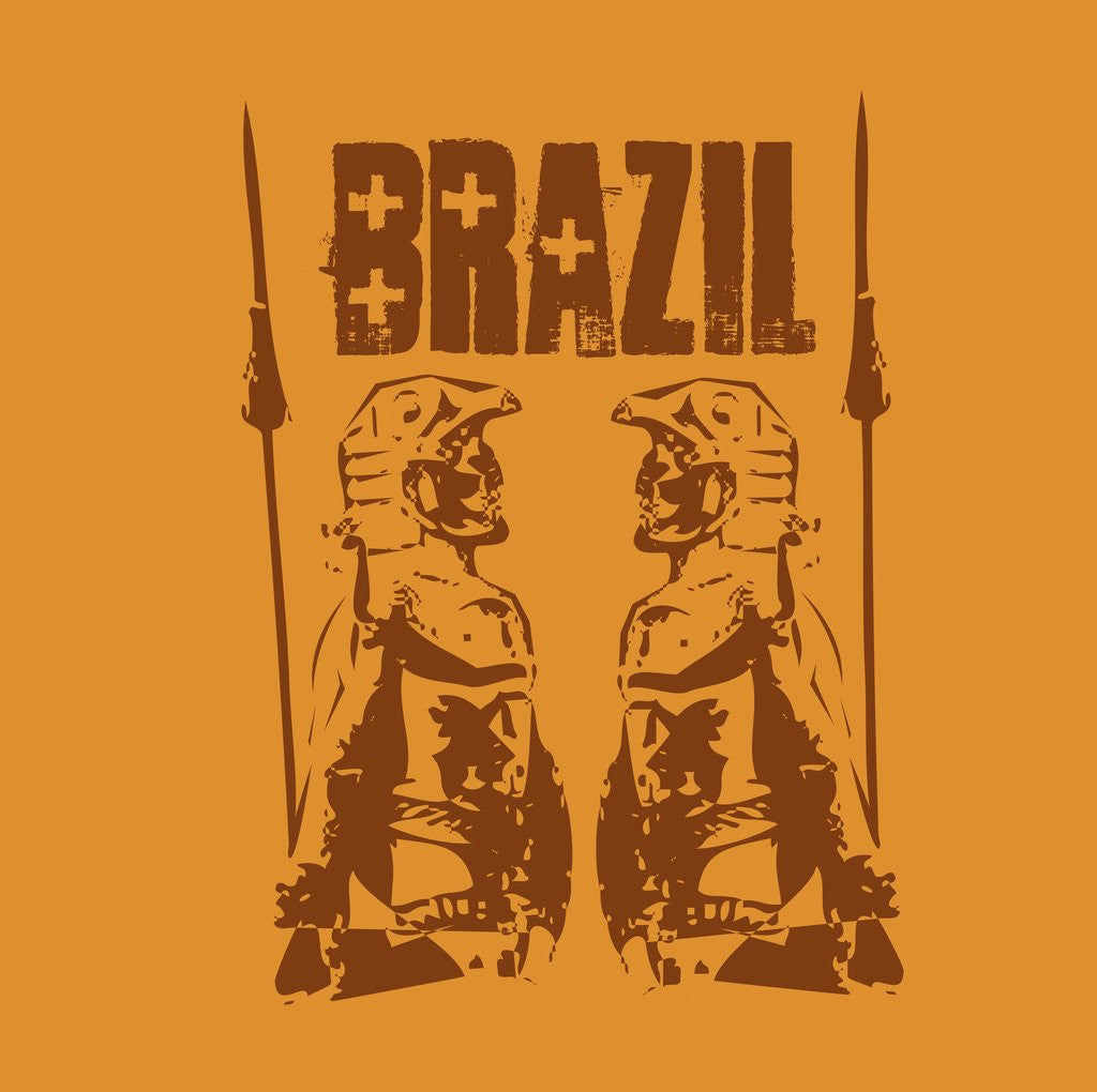 Detail of Brazil by Corbis