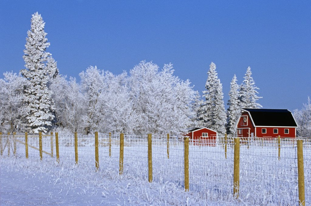 Detail of Farm in Winter by Anonymous