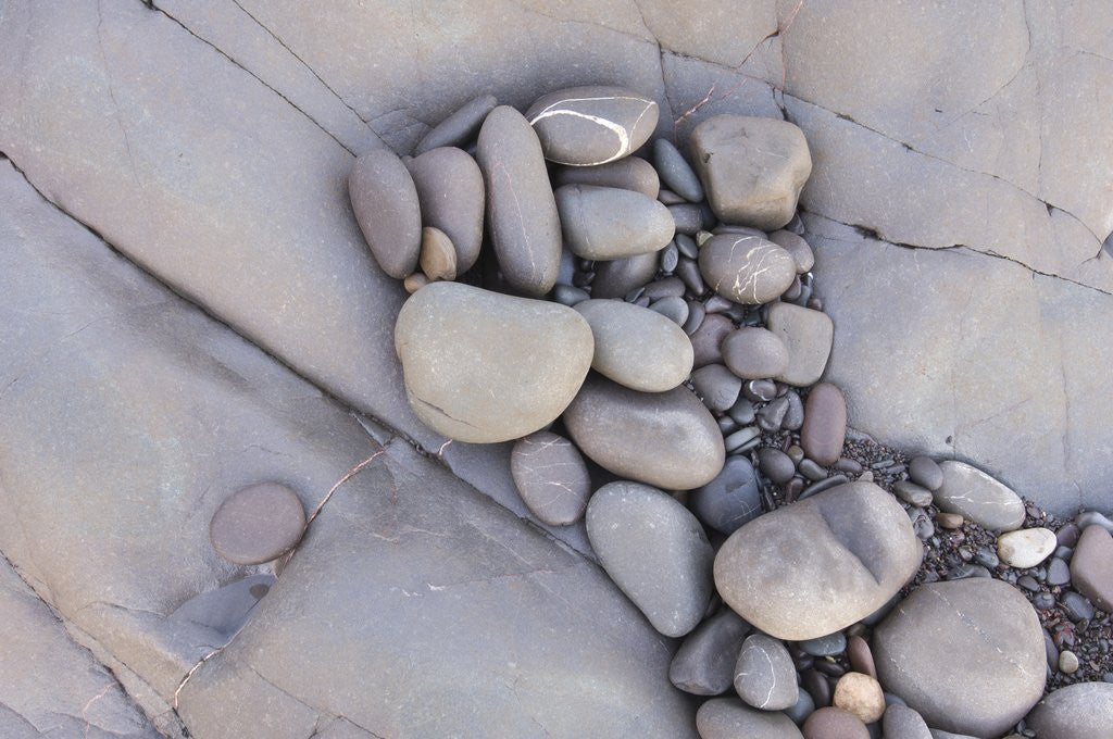 Detail of Smooth Rocks on Coast by Anonymous