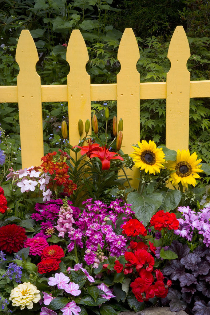 Detail of Flower Garden and Picket Fence by Corbis