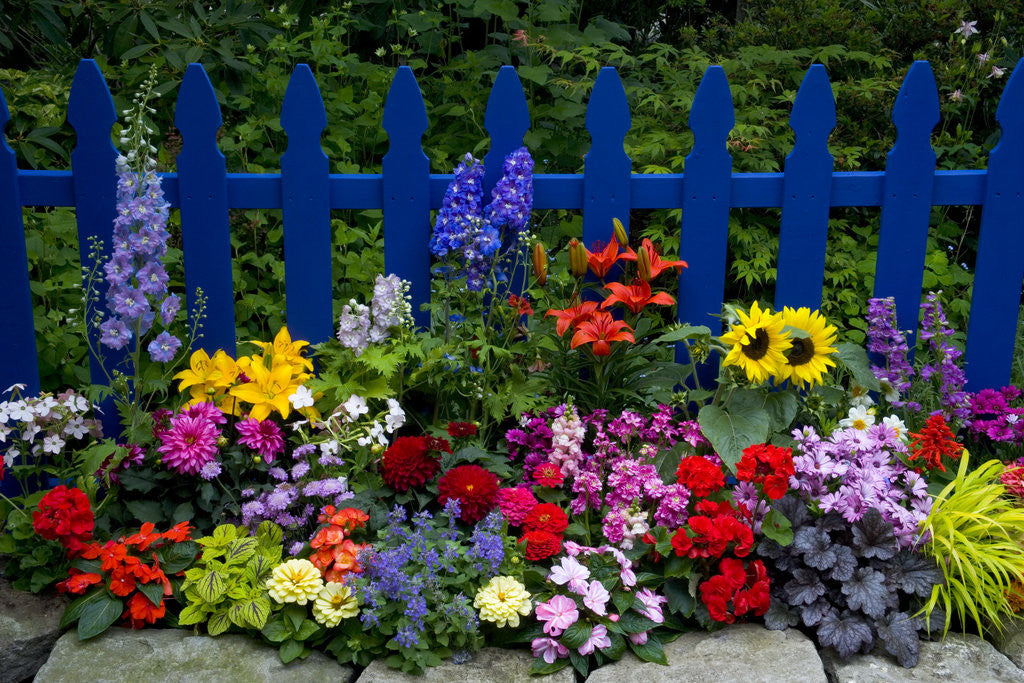 Detail of Flower Garden and Picket Fence by Anonymous