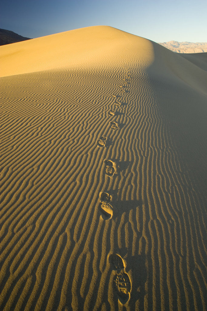 Detail of Footprints in Sand Dunes by Anonymous