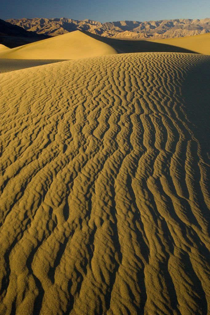 Detail of Ripples in Sand Dunes by Anonymous