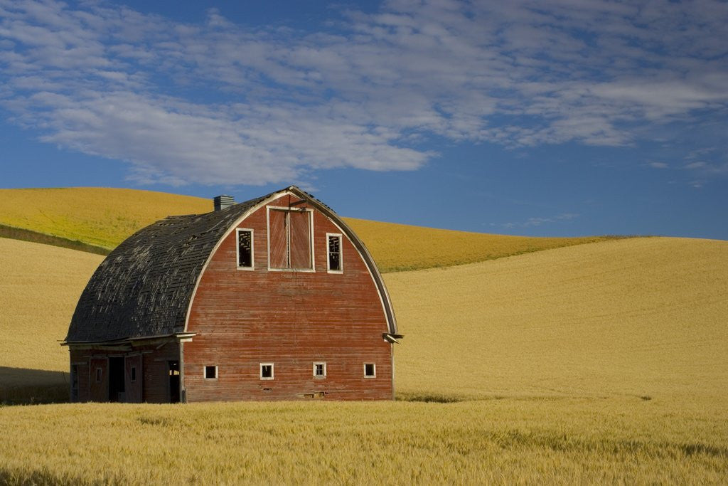 Detail of Red Barn in Wheat Field by Anonymous