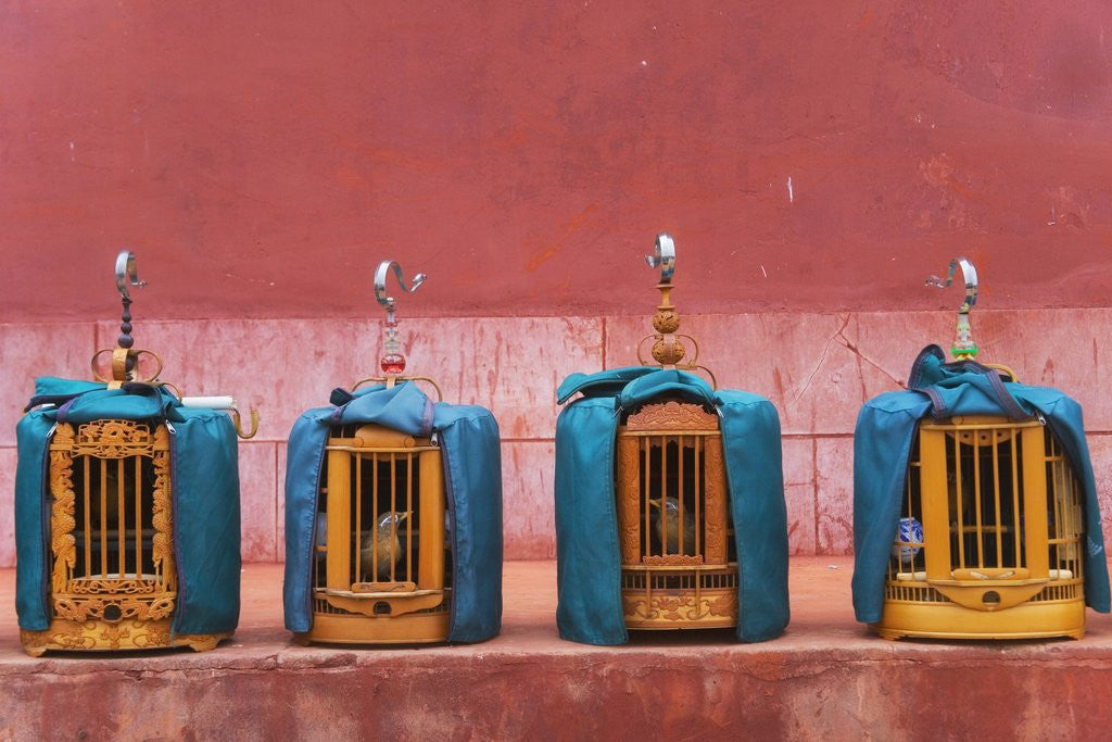 Detail of Wooden Bird Cages Against Ancient City Wall by Anonymous