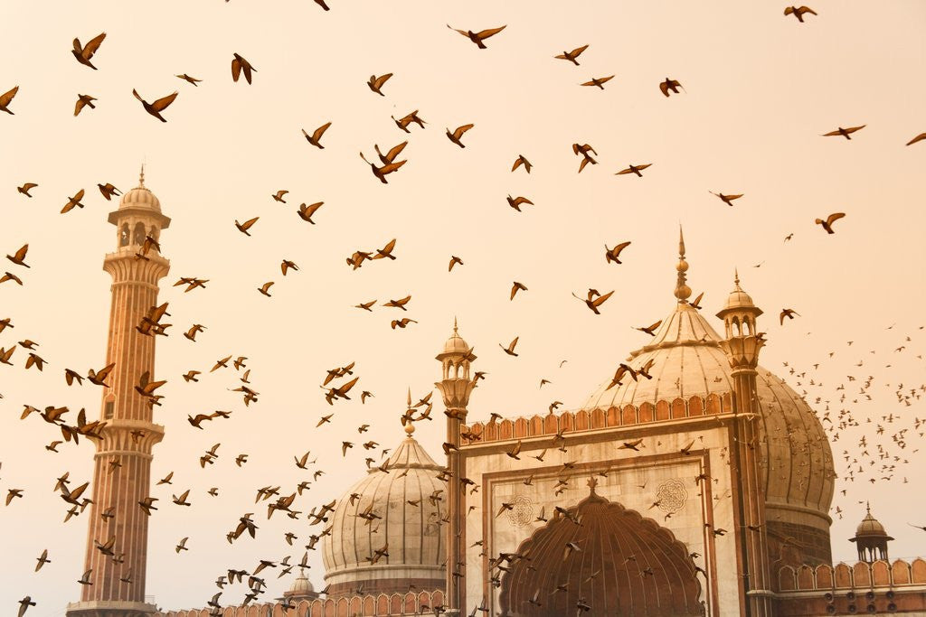 Detail of Flock of Birds Flying Around Jama Masjid Mosque by Anonymous