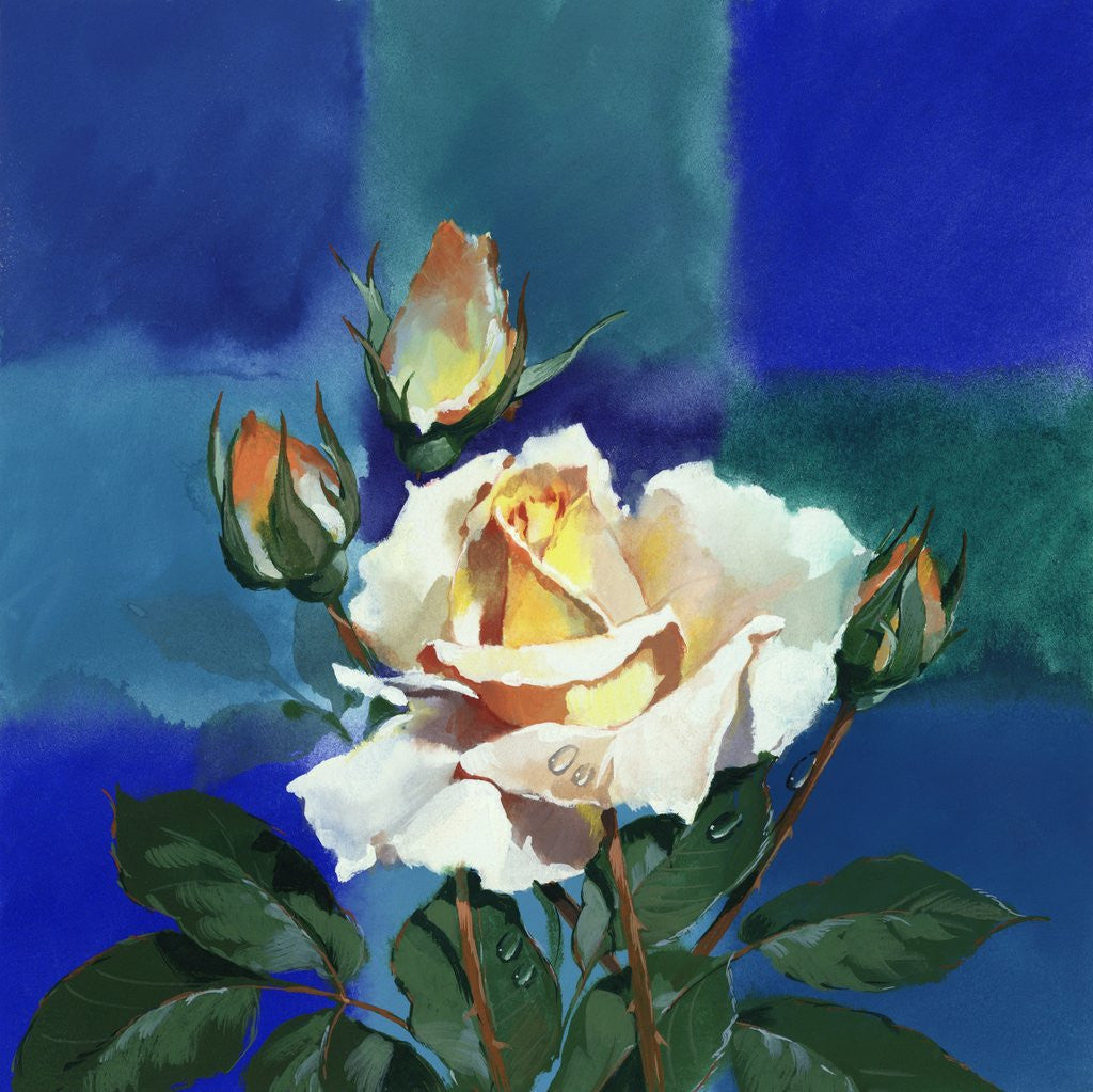 Detail of White Rose in Front of Cross by Anonymous