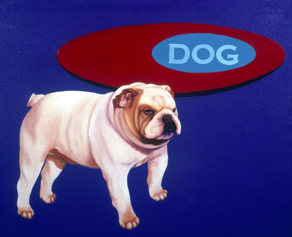 Detail of Bulldog by Anonymous