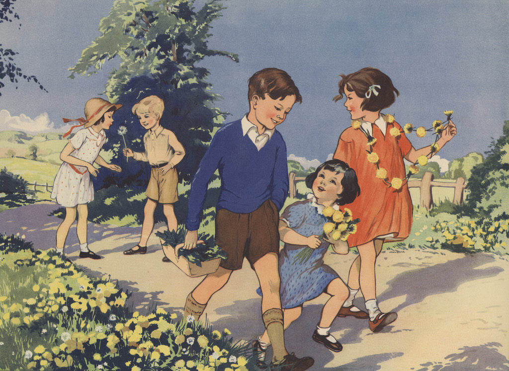 Detail of Dandelions Book Illustration by Anonymous