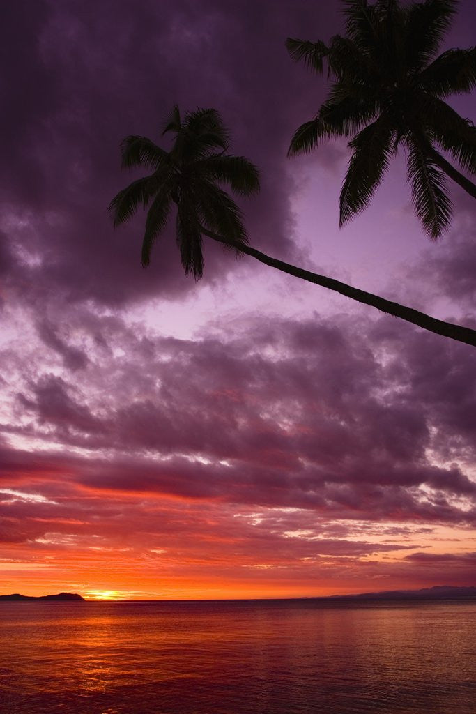 Detail of Tropical Sunset by Anonymous