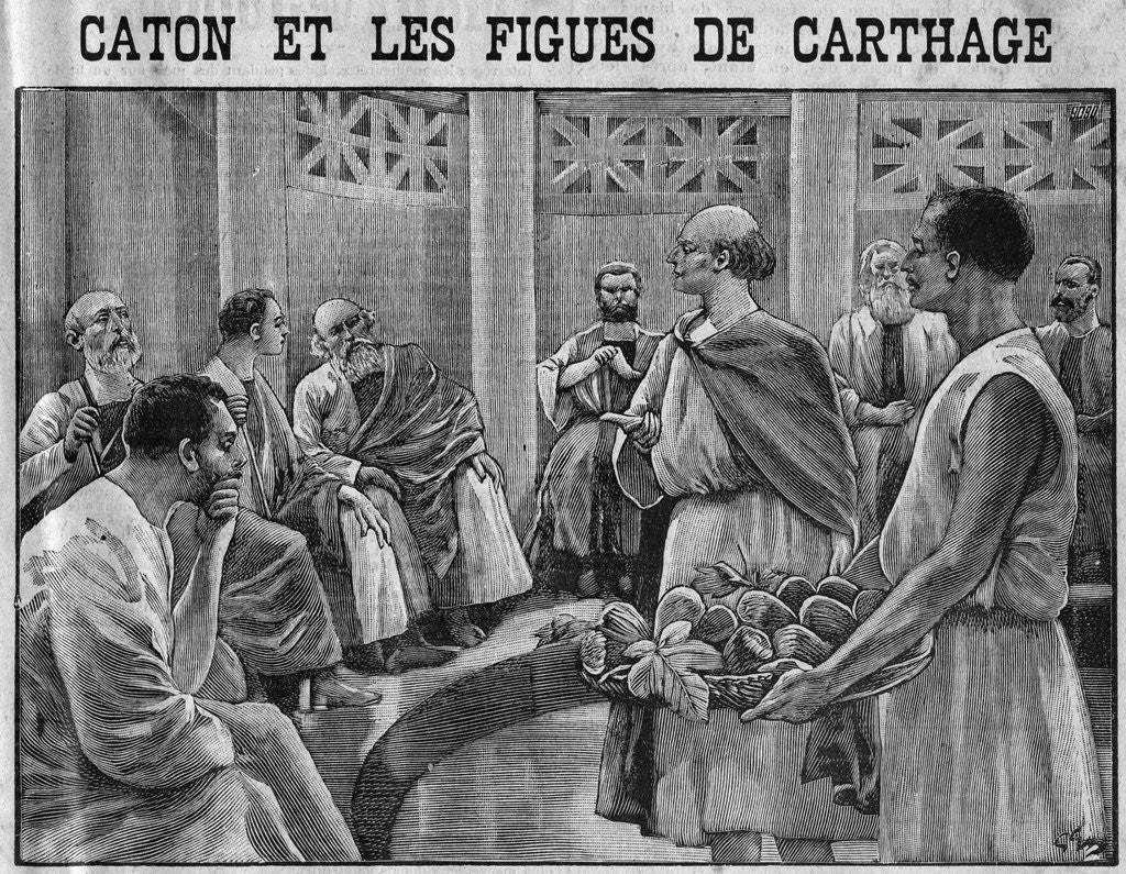 Illustration of Cato Showing Figs from Carthage to the Roman Senate by Corbis