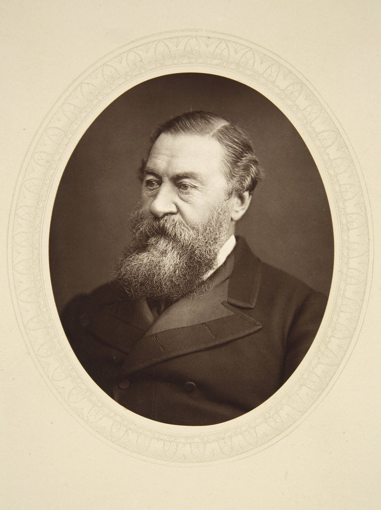 Detail of Portrait of Sir Samuel Baker by Anonymous