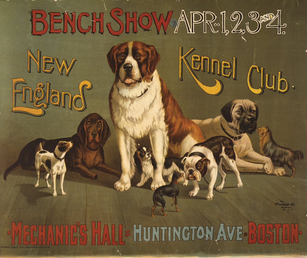 Detail of New England Kennel Club Bench Show Poster by Anonymous