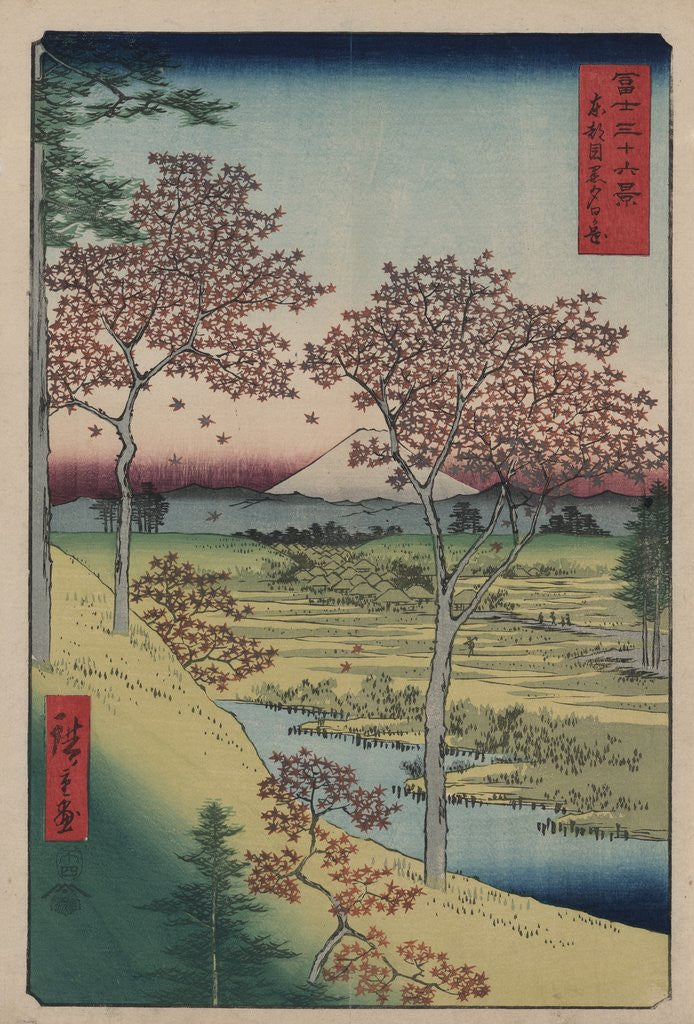Detail of Sunset Hill, Meguro in the Eastern Capital by Ando Hiroshige