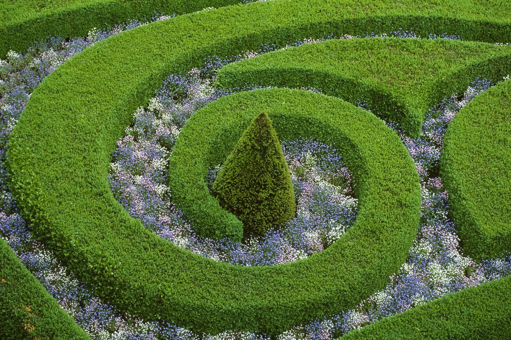 Detail of Vrtba Garden by Anonymous