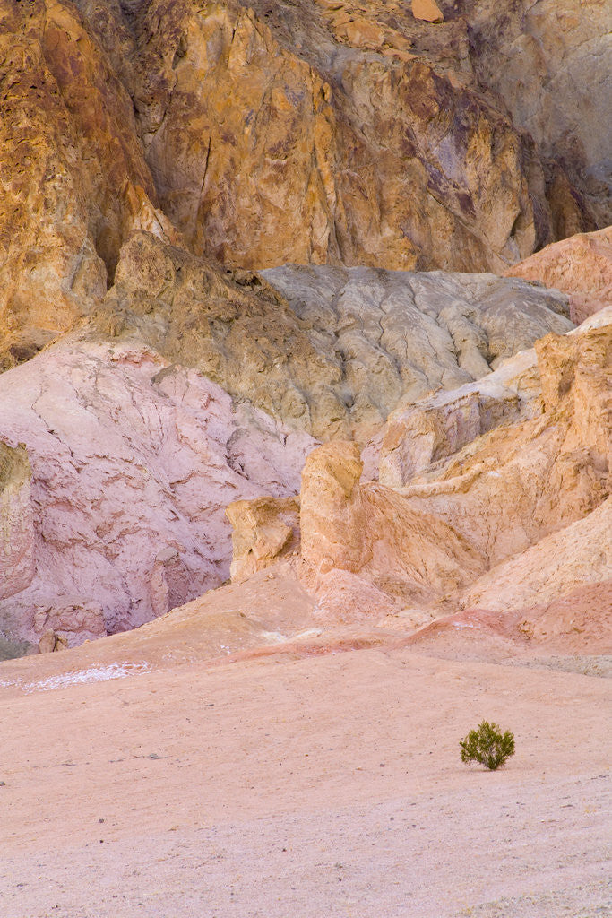 Detail of Colorful Badlands, Artist's Drive, Death Valley National Park by Anonymous