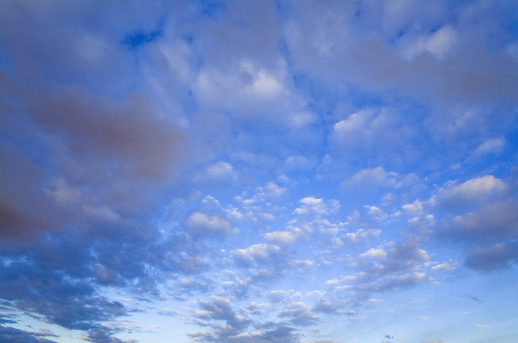 Detail of Cumulus Clouds Near Colorado River's Horseshoe Bend by Anonymous