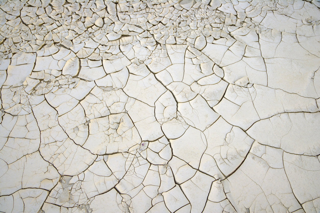 Detail of Dry Clay Pan in Badlands, Death Valley National Park by Anonymous
