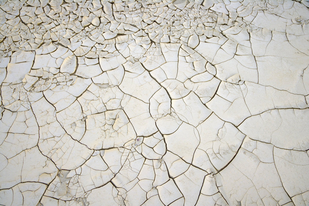 Detail of Dry Clay Pan in Badlands, Death Valley National Park by Corbis
