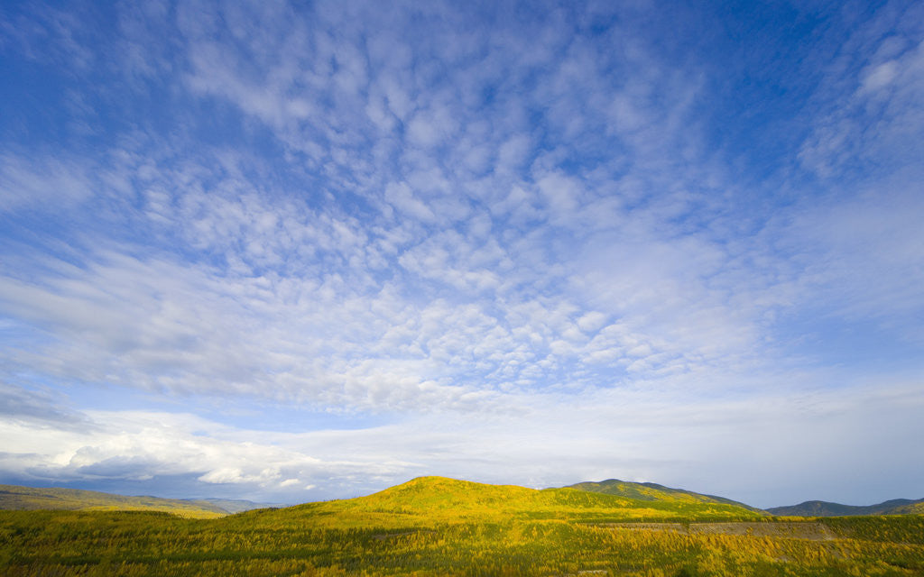 Detail of Northern British Columbia Landscape in Fall by Anonymous