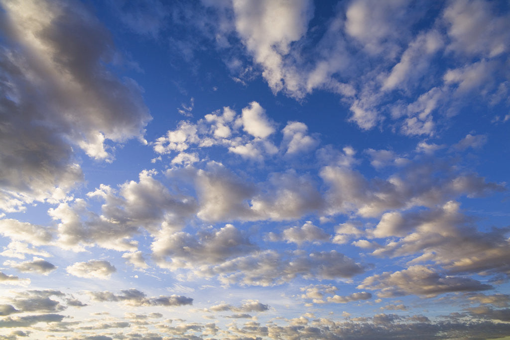Detail of Cumulus Clouds Over Sandstone Buttes at Sunrise by Anonymous