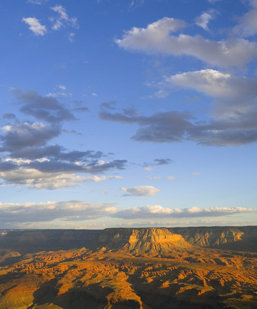 Detail of Big Sky and Grand Canyon Chasms by Anonymous