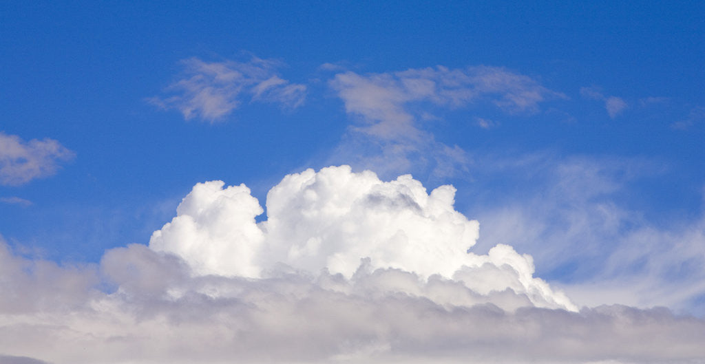Detail of Dramatic Big Cumulus Clouds at Noon by Anonymous