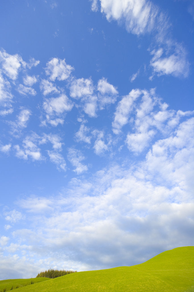 Detail of Rolling Green Hills and Dramatic Cumulus Clouds by Anonymous
