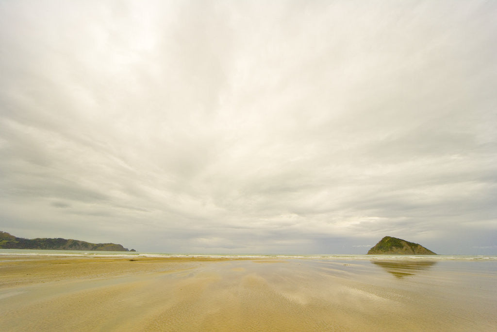 Detail of Overcast Day on Beach by Anonymous