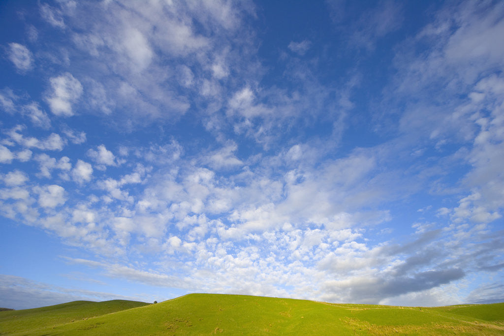 Detail of Rolling Green Hills and Dramatic Cumulus Clouds by Anonymous