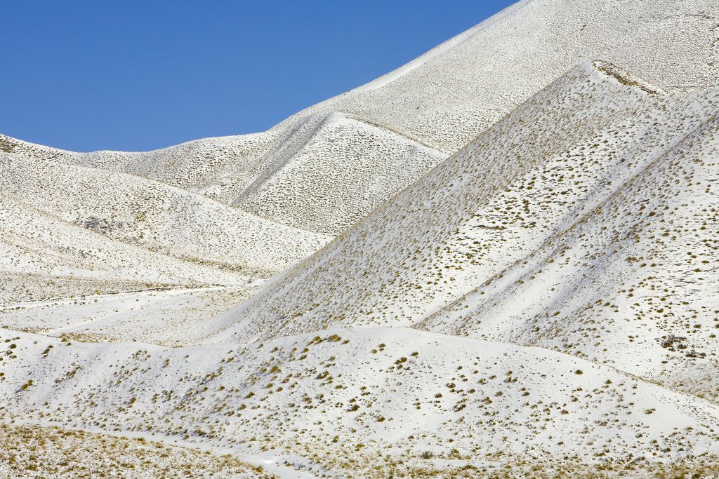 Detail of Snowy Hills at Lindis Pass in McKenzie Basin by Anonymous