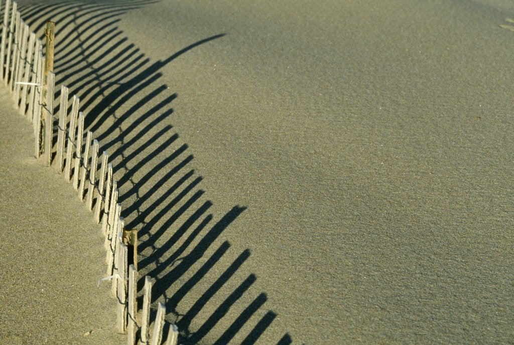Detail of Fence in Sand by Anonymous