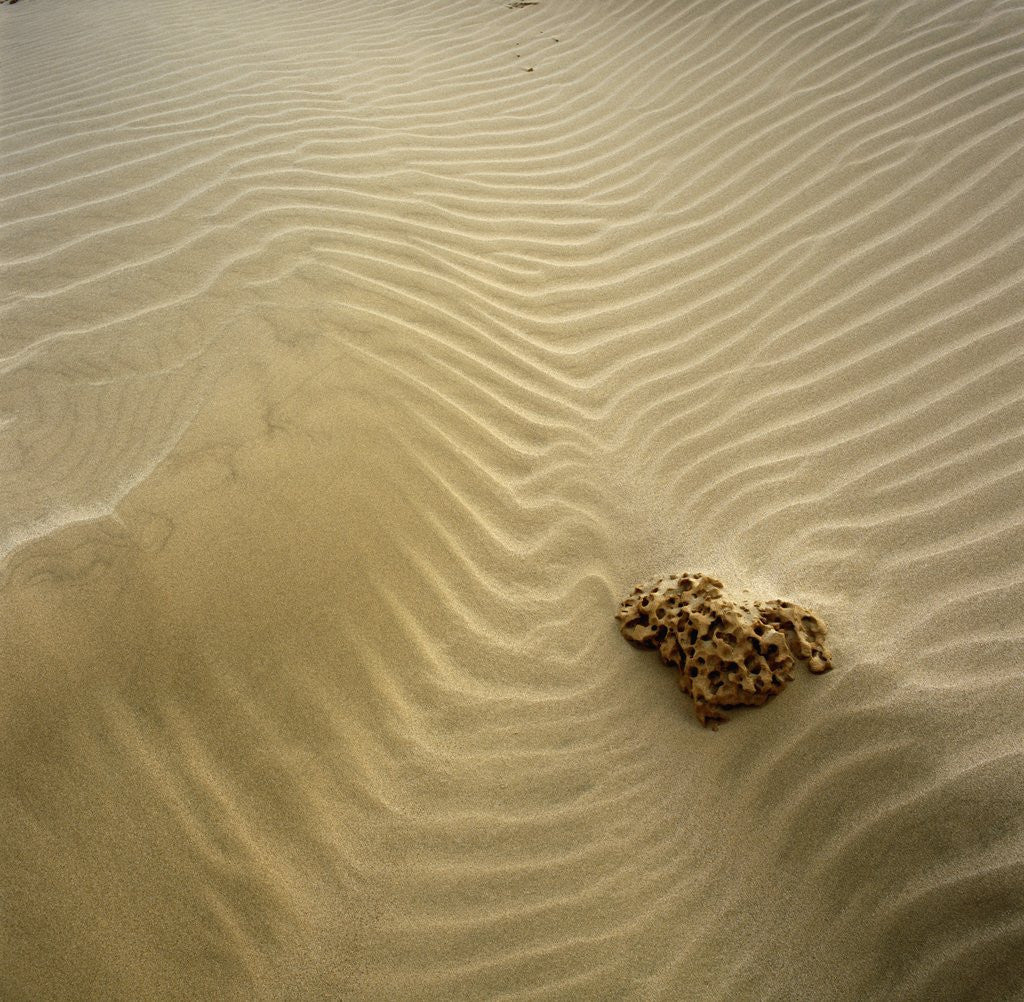 Detail of Rock Eroding in Desert Sand by Anonymous