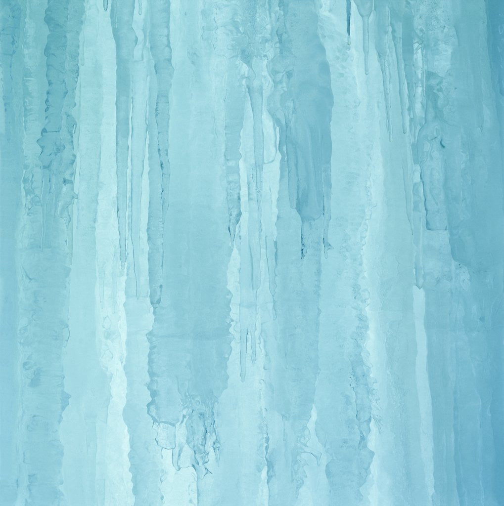 Detail of Ice Sheet by Anonymous