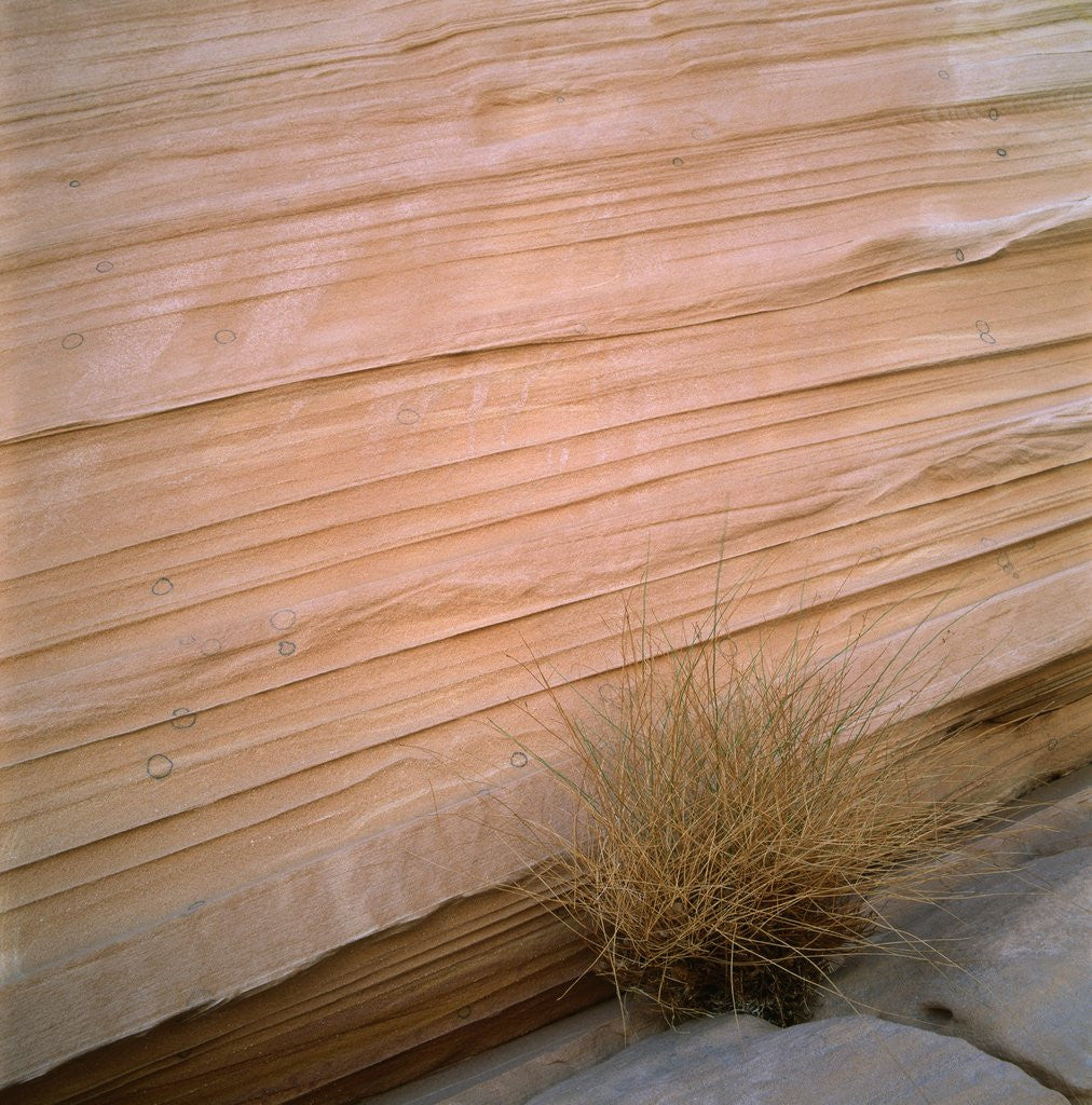 Detail of Sandstone Cliff by Anonymous