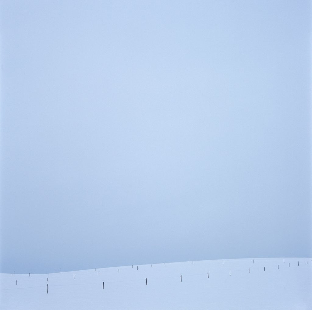 Detail of Snowy Meadow and Overcast Sky by Anonymous