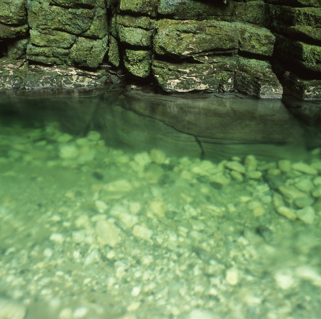 Detail of Green Rocks and River by Anonymous