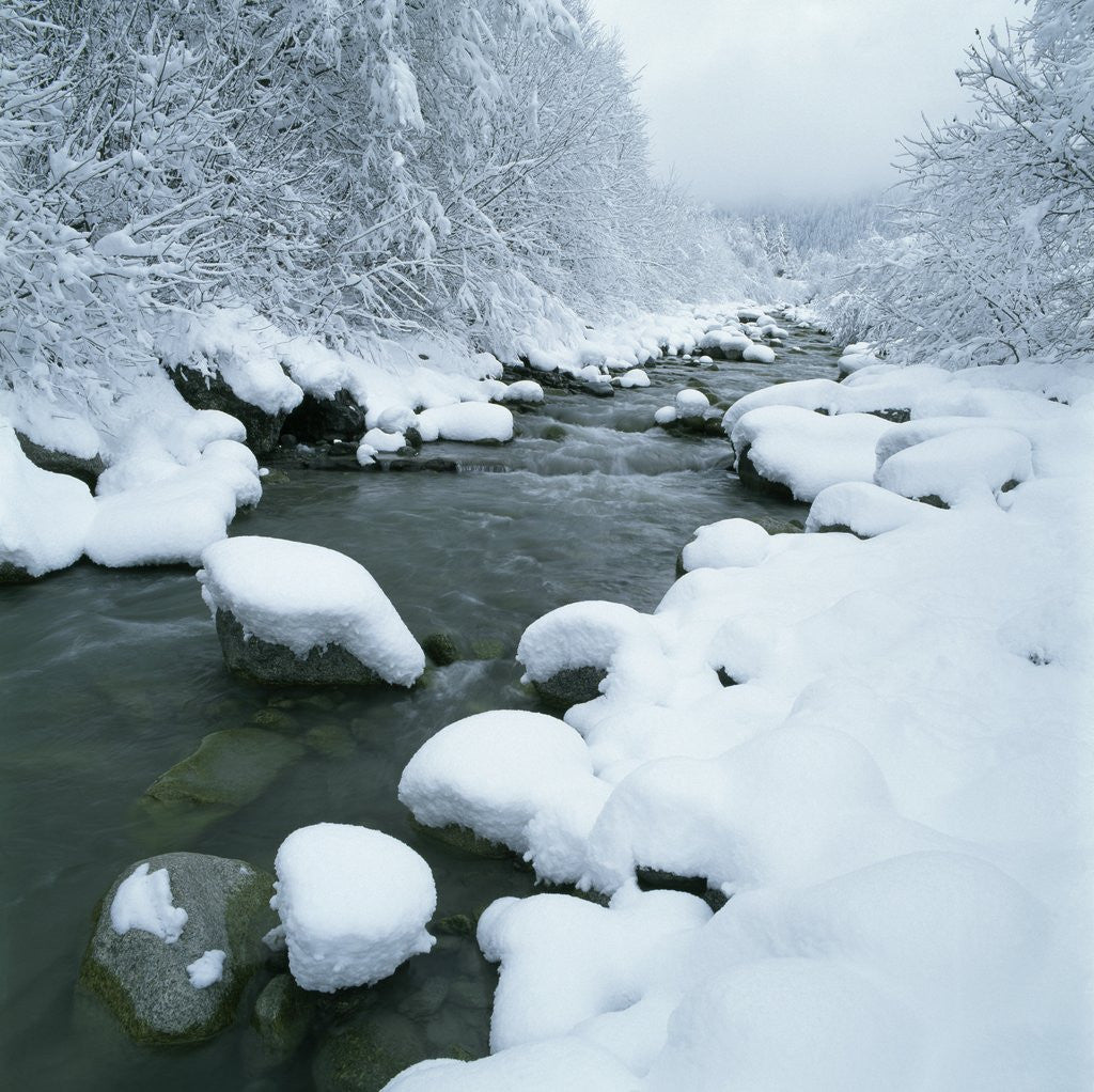 Snowy Riverbank by Corbis