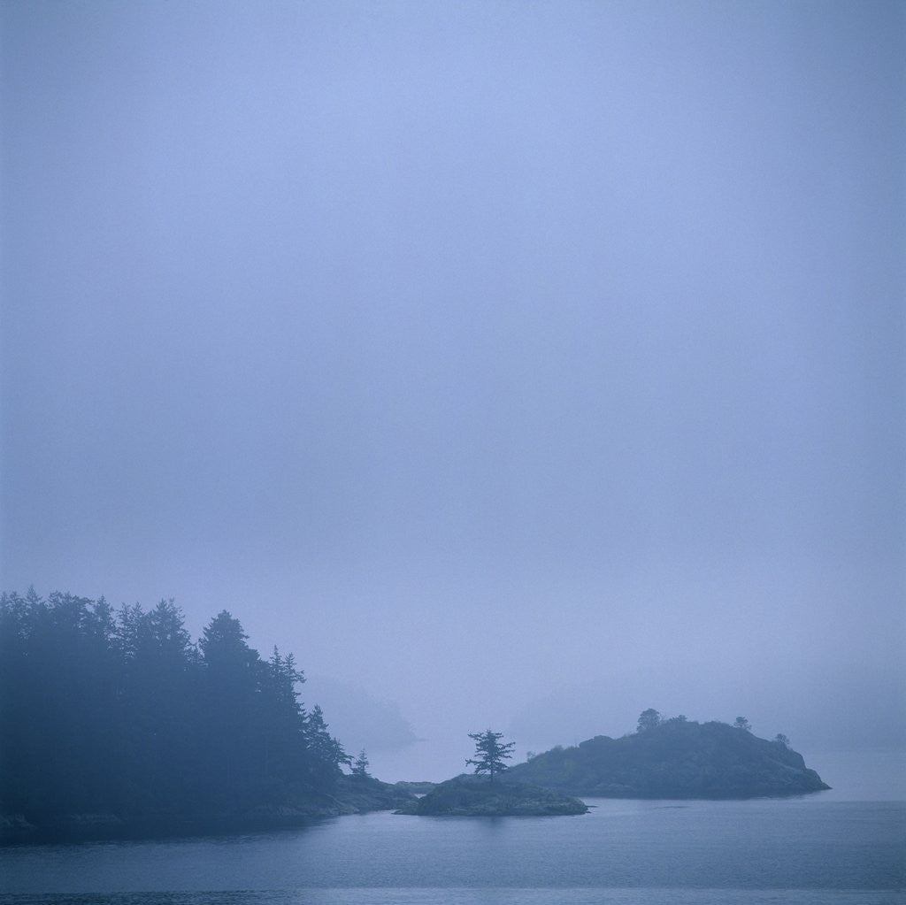 Detail of Coastal Islands in Fog by Anonymous