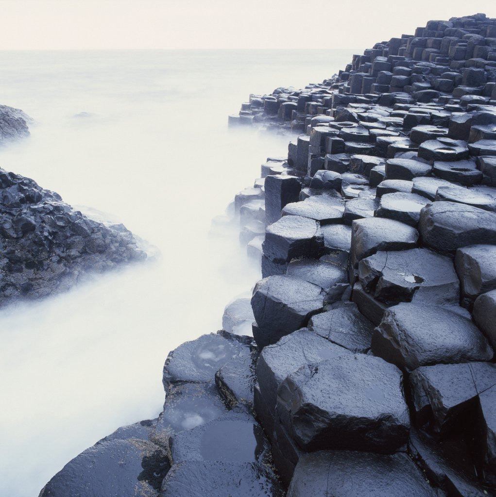 Detail of Basalt Columns on Coast by Anonymous