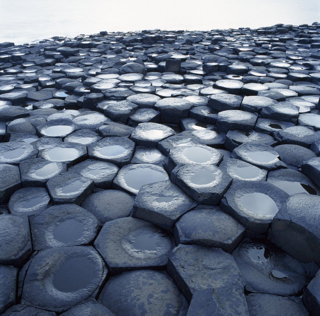 Detail of Basalt Columns by Anonymous