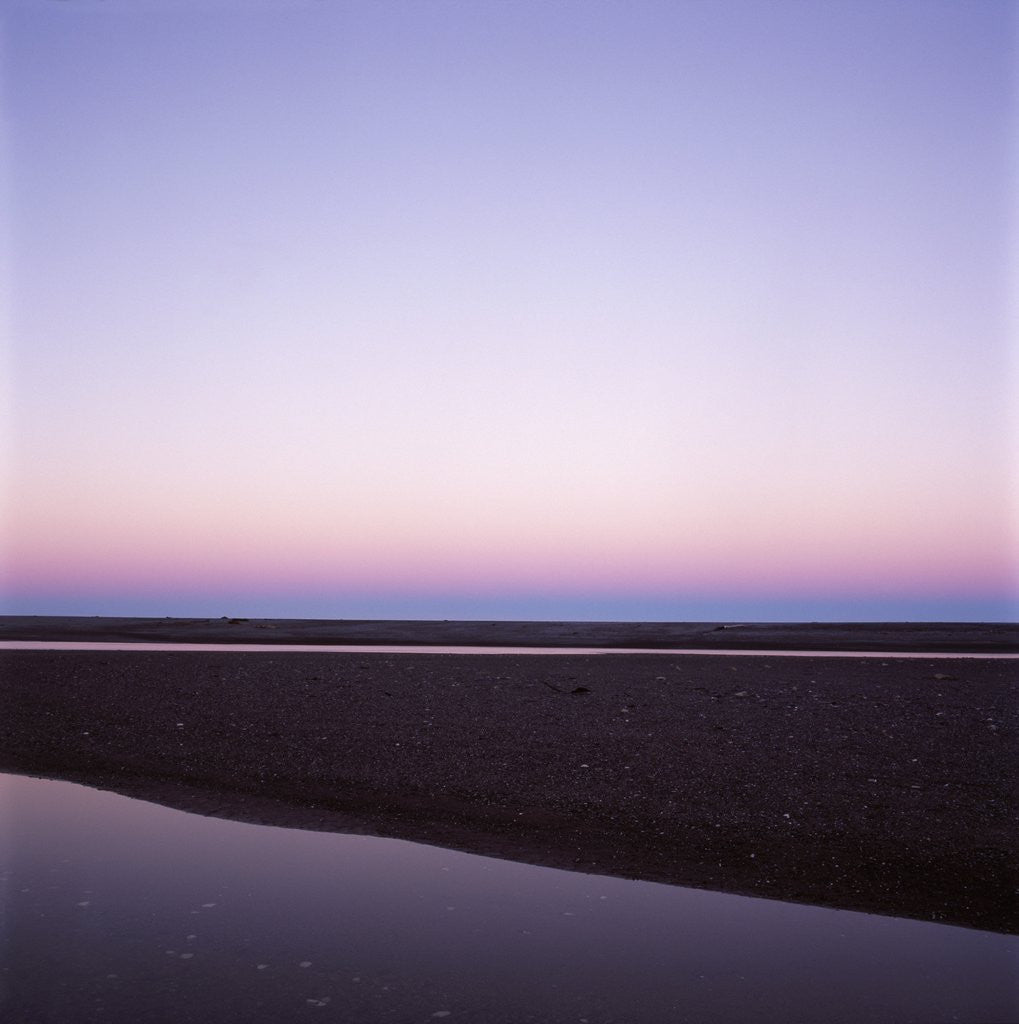 Detail of Beach at Twilight by Anonymous