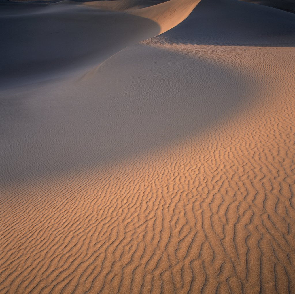 Detail of Sand Dune by Anonymous